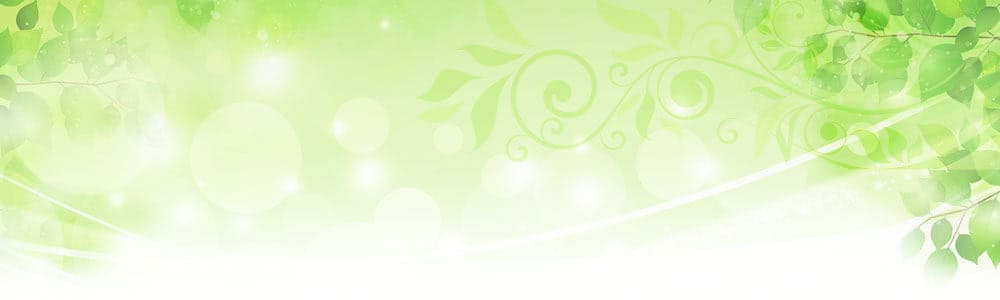 �J�~�Z���̊w�Z�̂΂Ȃ�